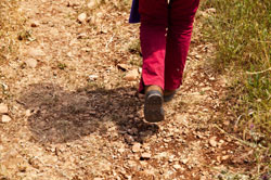 child walks on a field trip